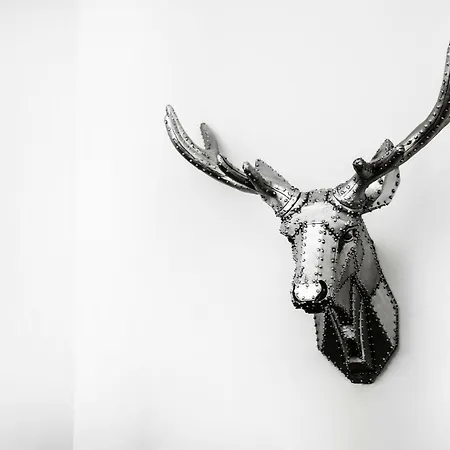 Apartament Reindeer